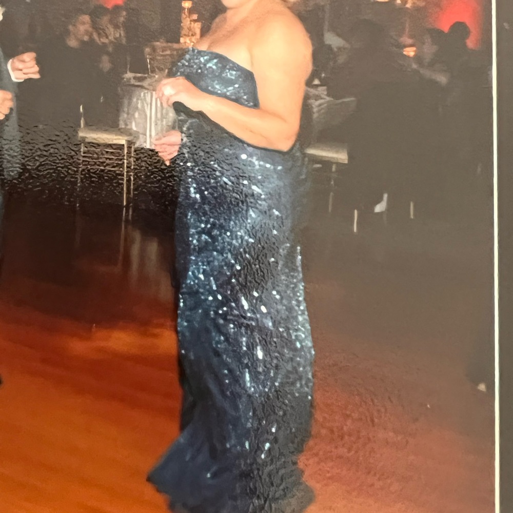 Beautiful Terani Couture dress